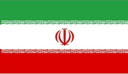 FLAG 2
